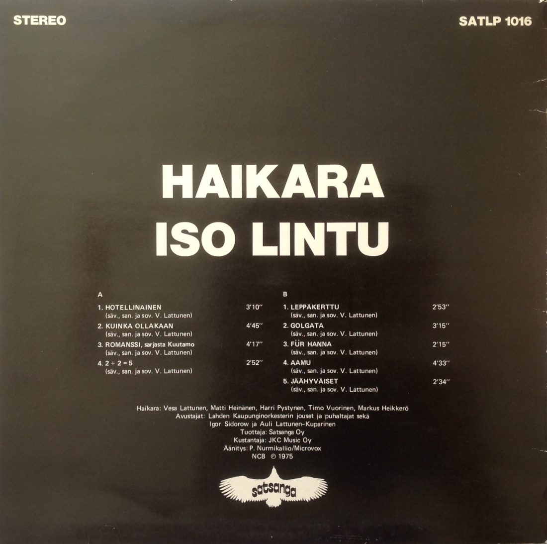 Haikara Iso lintu takakansi